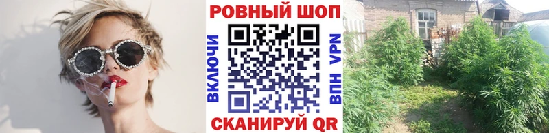 Как найти закладки Казань Гашиш  МДМА  АМФЕТАМИН  Псилоцибиновые грибы  Меф мяу мяу  Бошки Шишки 