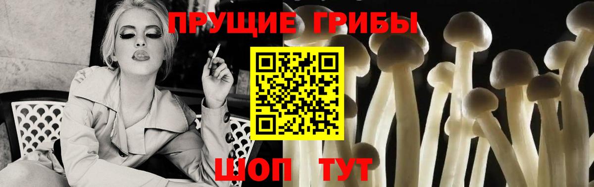 Псилоцибиновые грибы GOLDEN TEACHER Казань